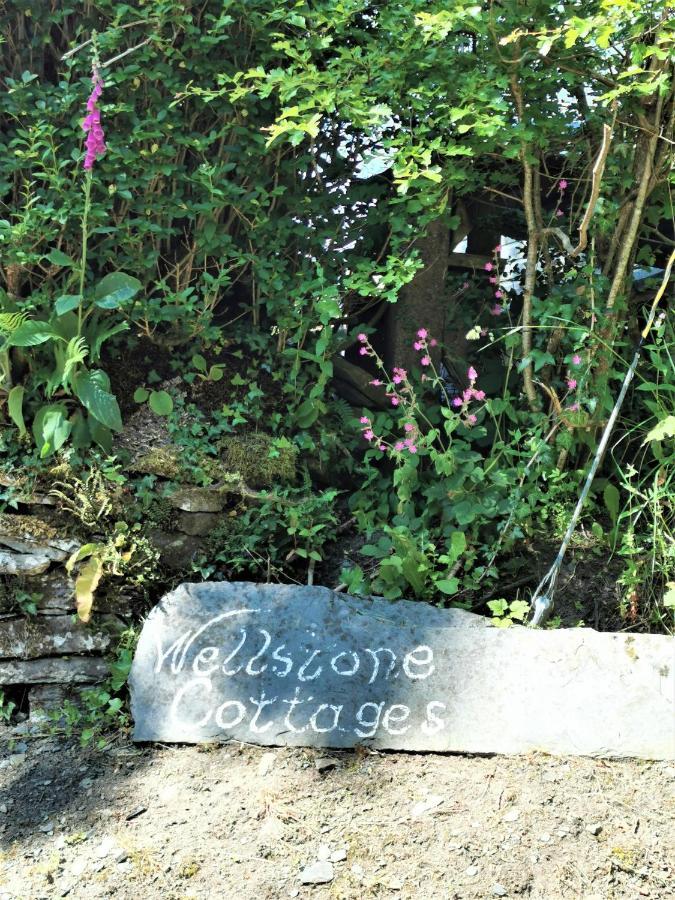 Wellstone Cottages - Jasmine Llanfyrnach 외부 사진